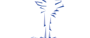 Palmotive clients-11